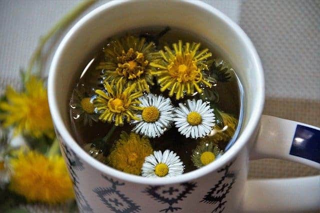 たんぽぽ茶