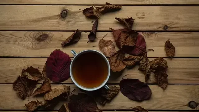 ティー