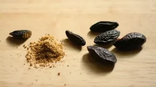 トンカ豆（トンカビーンズ）