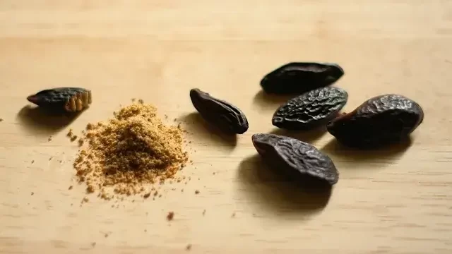 トンカ豆（トンカビーンズ）