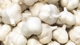 にんにく（ガーリック）
