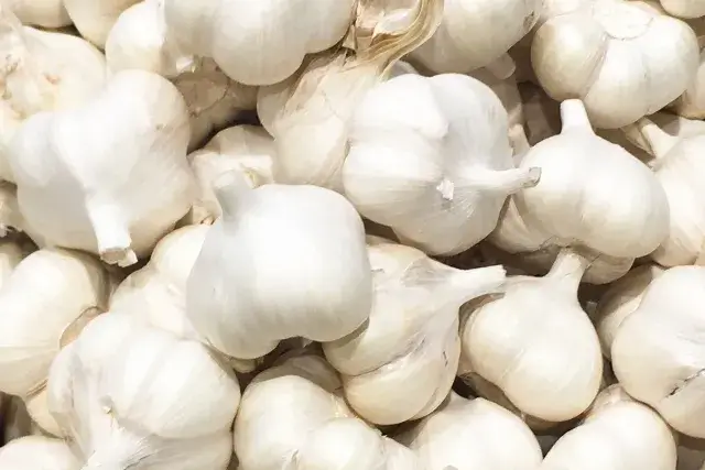 にんにく（ガーリック）