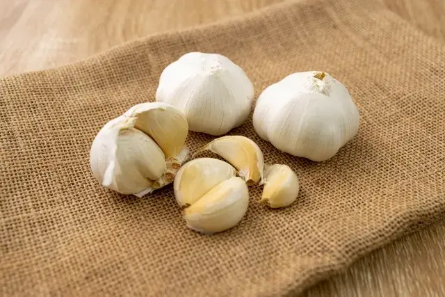 にんにく（ガーリック）