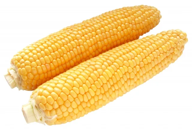 とうもろこし
