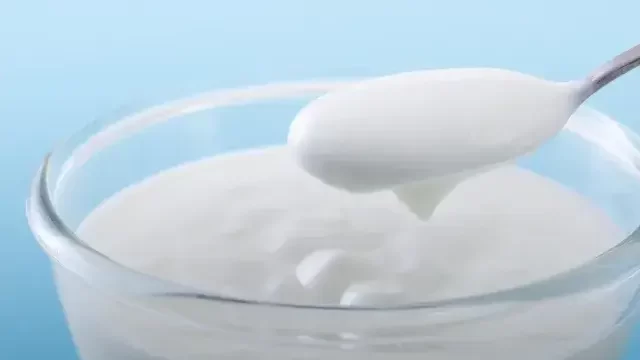 ヨーグルト