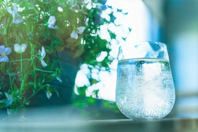 炭酸水