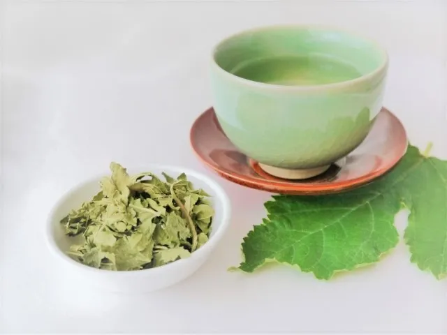 桑の葉茶