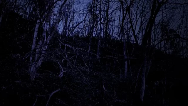 ホラー・夜の風景