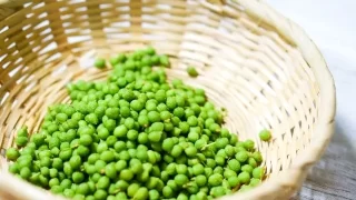 山椒の実