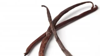 バニラビーンズ