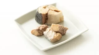 鯖缶